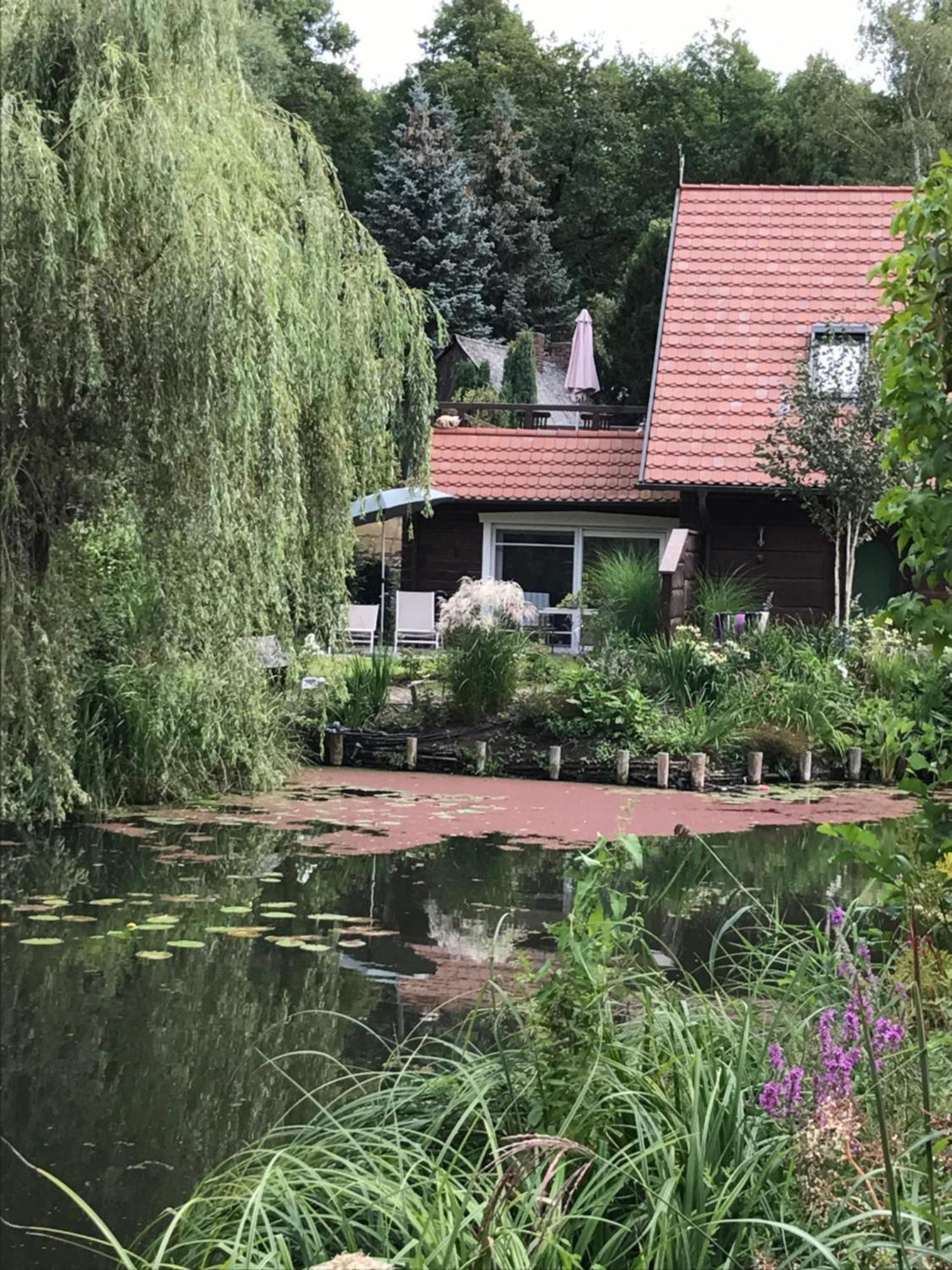 Ferienwohnungen direkt am Wasser Burg  Exterior foto